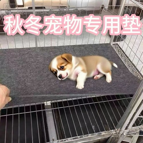 狗垫子耐抓耐咬四季通用狗垫板睡觉狗窝宠物地垫中大型犬狗笼垫板