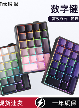 锐蚁F21无线数字小键盘三模办公财务会记计算机蓝牙RGB便携小键盘