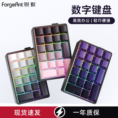 锐蚁F21无线蓝牙三模小键盘办公