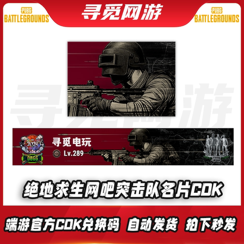 PUBG绝地求生网吧突击队静态名牌吃鸡网吧突击队名片兑换码CDK