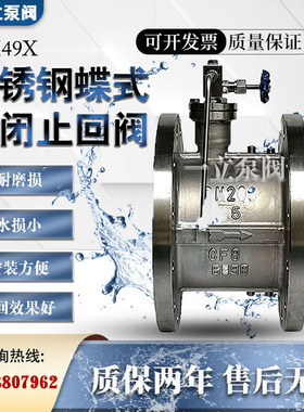 304不锈钢消声止回阀HH49X/48X-16p微阻缓闭蝶式止回阀消声防水锤