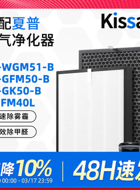 适配夏普空气净化器过滤网FU-GK50/FP-FM40L滤芯除甲醛FZ-F40SFE