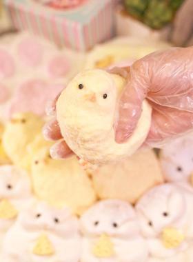 Chck Taba Squshy Toys Ultra Soft Squeeze Fdget rua泥感鸡