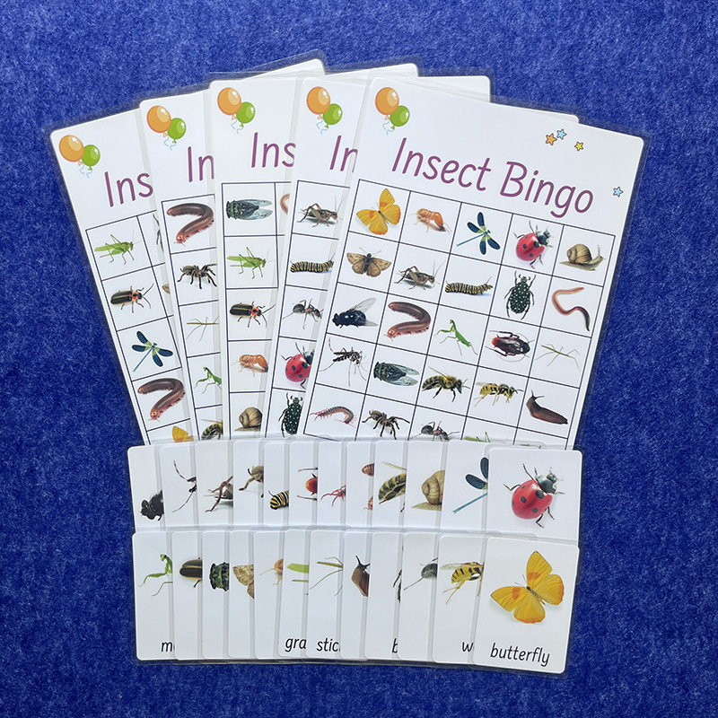 新款英语昆虫宾果游戏卡Insect Bingo亲子互动桌游卡英文教具闪卡