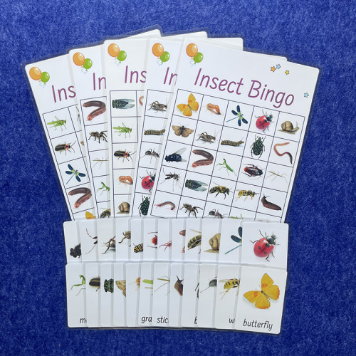 英语昆虫宾果InsectBingo游戏卡