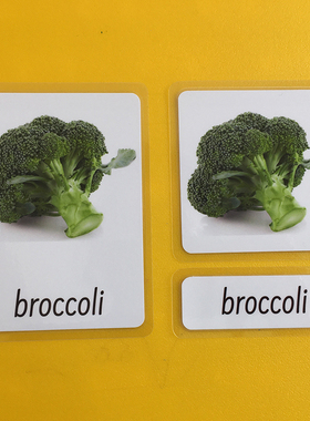 英语早期训练启蒙单词闪卡蒙氏语言区三段卡蔬菜vegetables抽认卡