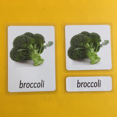 蒙氏语言区三段卡蔬菜闪卡抽认卡