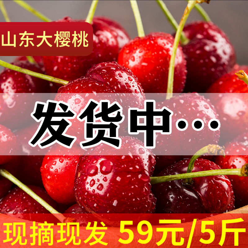 预售山东大樱桃当季新鲜水果红灯1先锋现摘现发冷链运输包邮