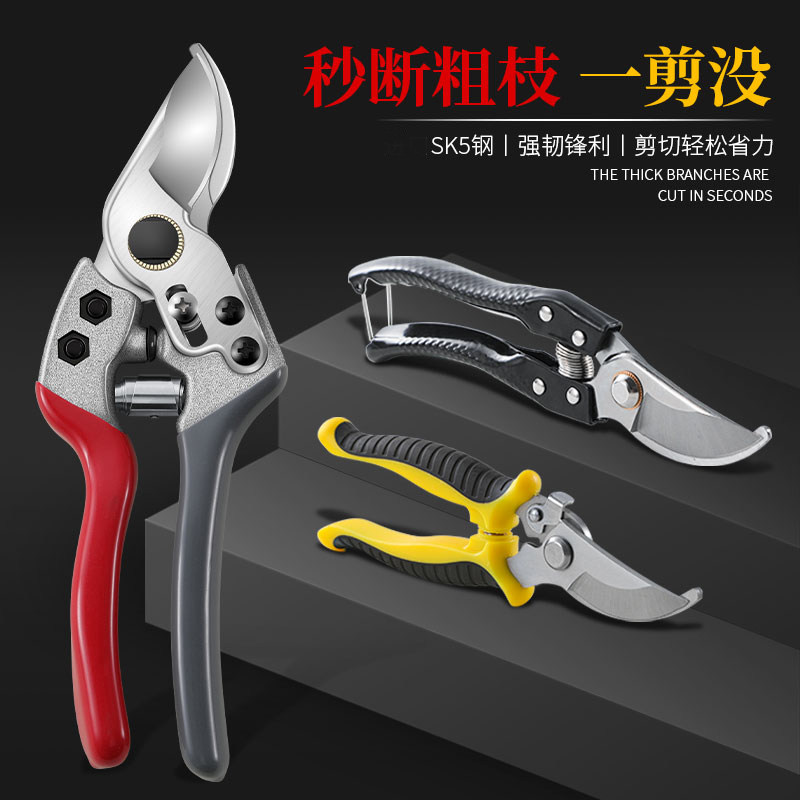 花枝果树园艺修枝园林工具剪刀图片
