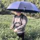 采茶下雨神器免手撑伞神器户外遮阳遮雨采茶伞解放双手 直杆懒人