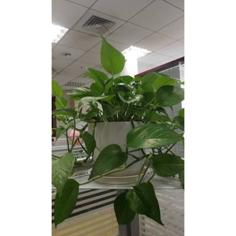 办公室三角铁架办公桌桌面搁板阳台转角挂钩挂架收纳式置物架