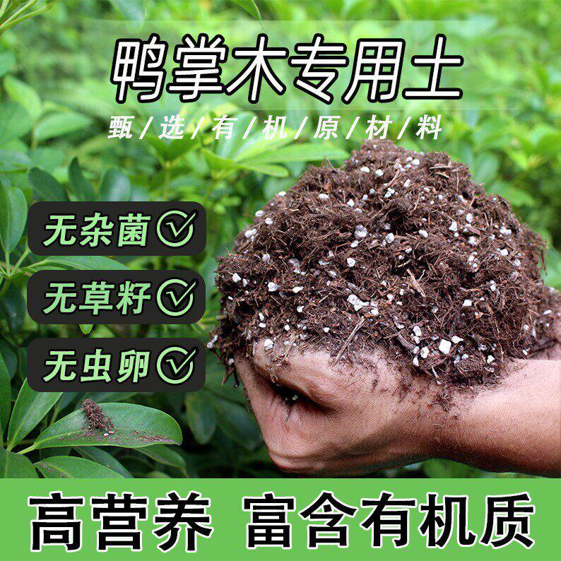 鸭掌木专用土家用盆栽绿植通用营养土养花轻质蓬松有机花泥肥料土