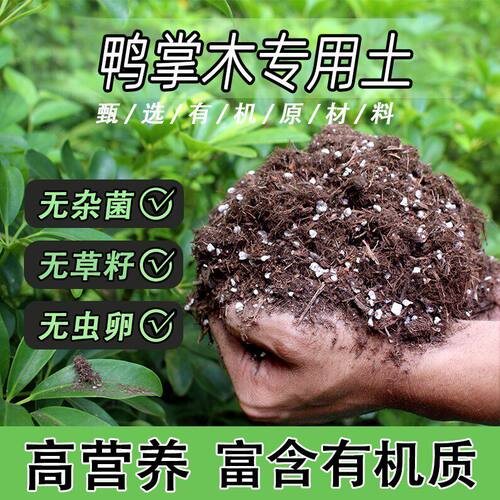 鸭掌木专用土家用盆栽绿植通用营养土养花轻质蓬松有机花泥肥料土