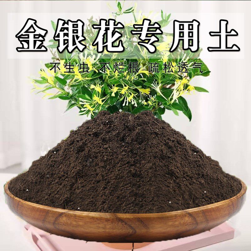 金银花专用土金银花土盆栽营养土通用种花养花泥土壤种植土有机肥