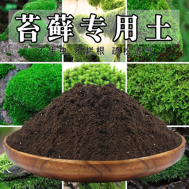 苔藓专用土苔藓土青藓盆栽通用营养土养花土壤种花有机肥料种植土