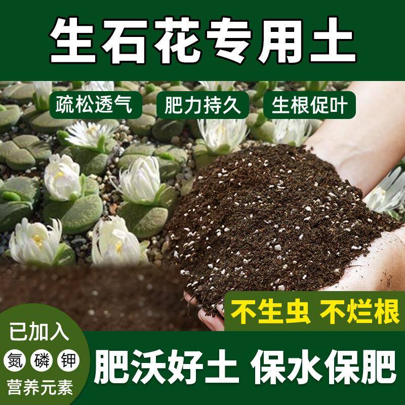生石花专用土花泥种植土生石花营养土盆栽土有机土阳台养花土壤