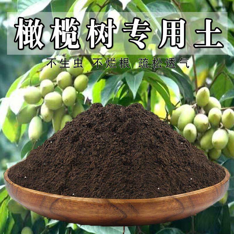 橄榄树专用土橄榄树土盆栽土营养土通用种花养花泥土壤肥料种植土