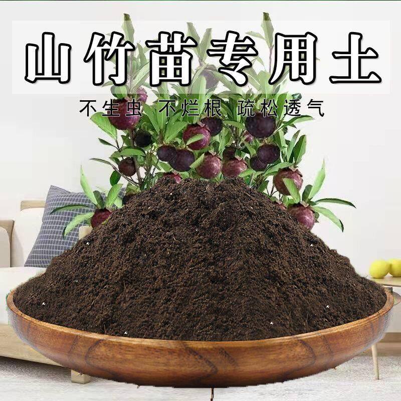 山竹苗专用土山竹土盆栽土营养土通用种花果树土泥土壤肥料种植土