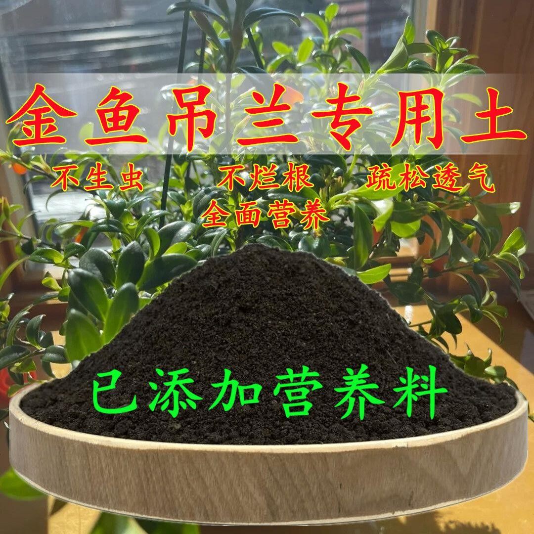金鱼吊兰专用土金鱼吊兰营养土疏松透气养花土壤种花土通用营养土