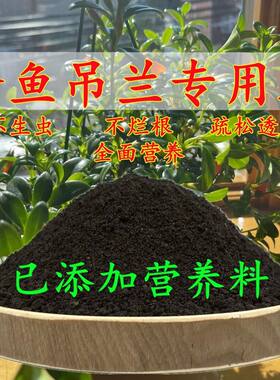 金鱼吊兰专用土金鱼吊兰营养土疏松透气养花土壤种花土通用营养土