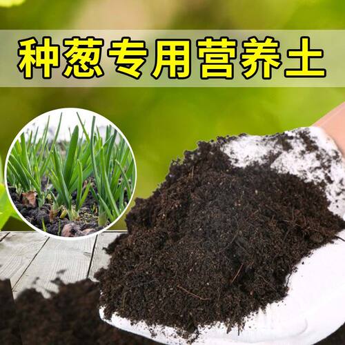种葱专用土菜园蓬松黑土家用菜地种植营养土阳台蔬果植物种菜土壤