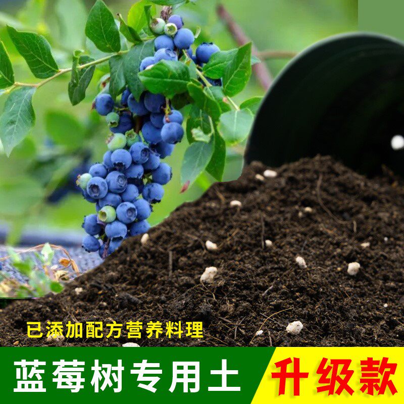 蓝莓树专用土有机土肥料家用种植土蓝莓树营养土盆栽养花通用包邮