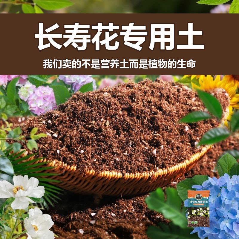 长寿花专用土盆栽有机花土种长寿花营养土壤养花通用种植土透气