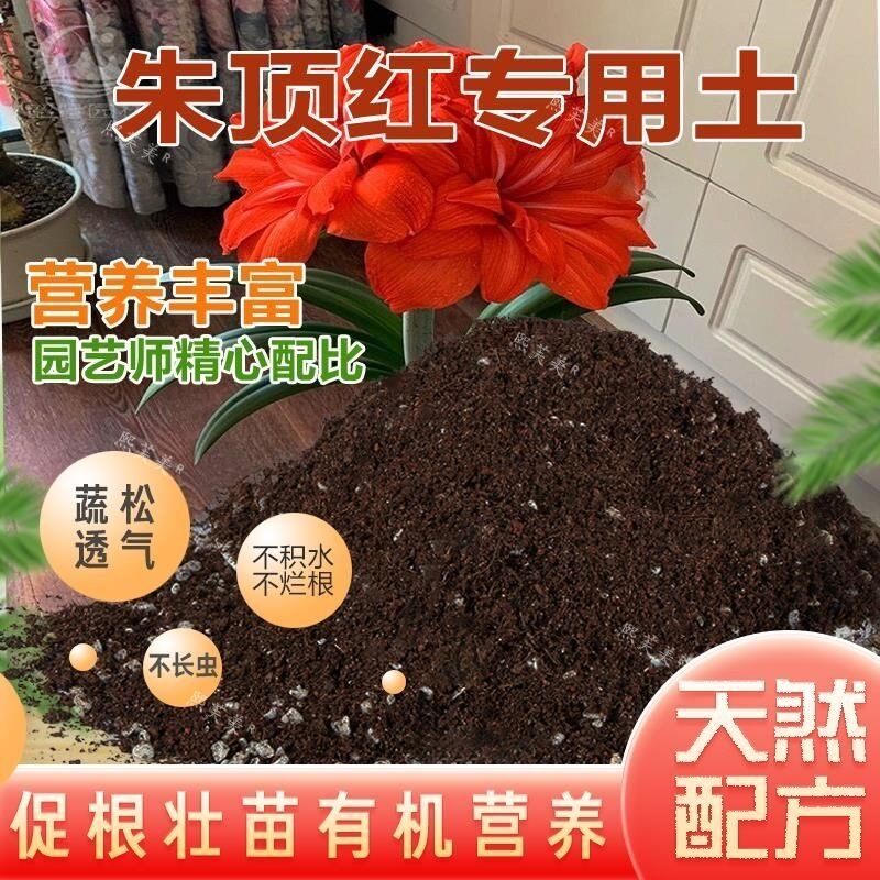 朱顶红专用土营养土球根种球专用土花土壤专用肥料泥土种植土