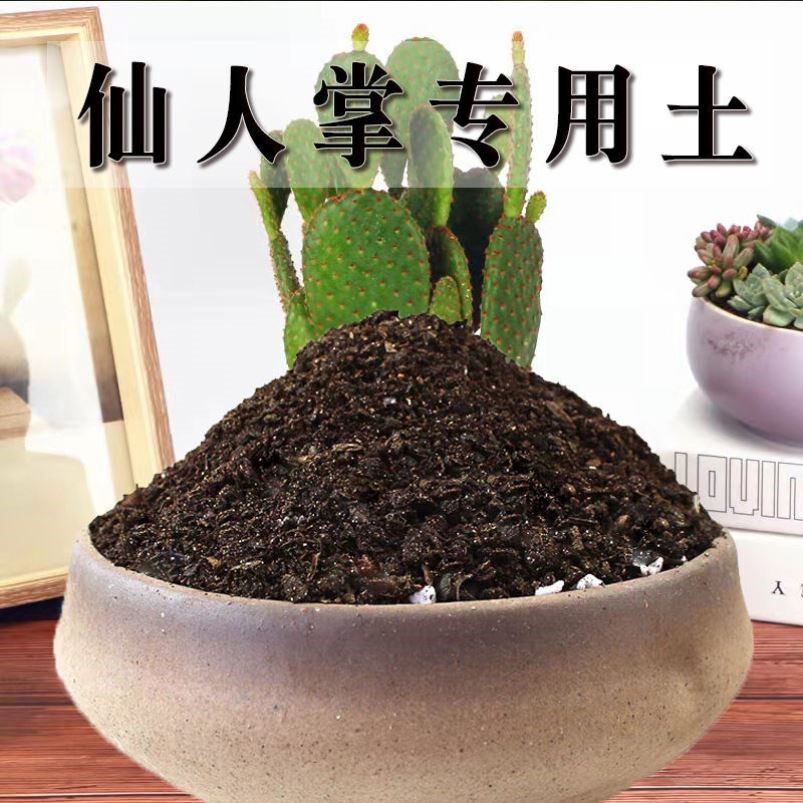 仙人掌专用土仙人掌土盆栽土肥料种花泥土营养土通用种植土壤养花