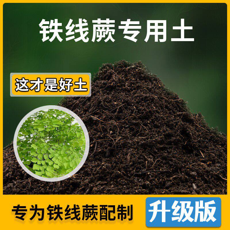 铁线蕨专用土家用种植土壤透气铁线蕨营养土盆栽种花养花有机土