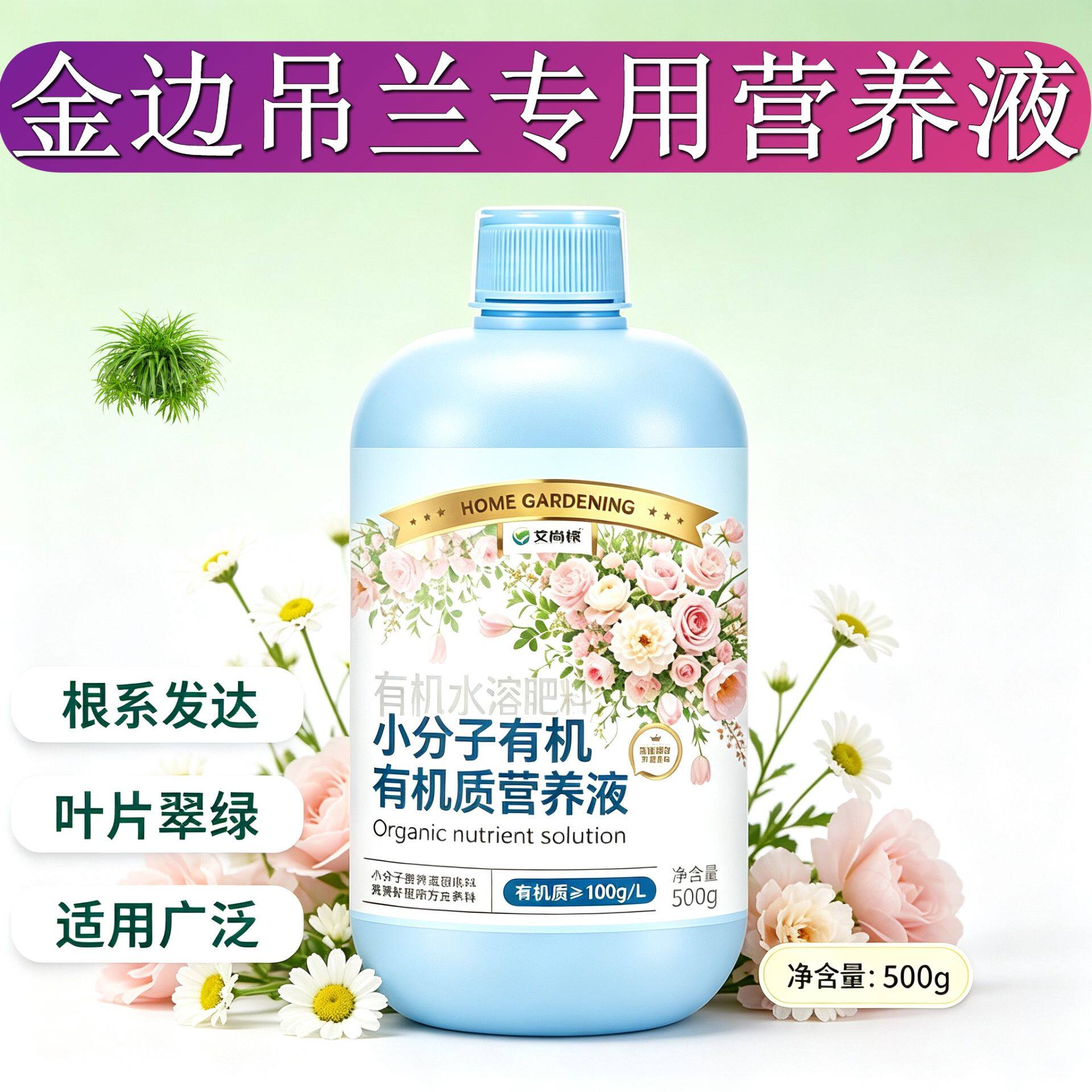 金边吊兰专用营养液根叶双补适用广泛家用园艺叶绿花艳适用盆栽