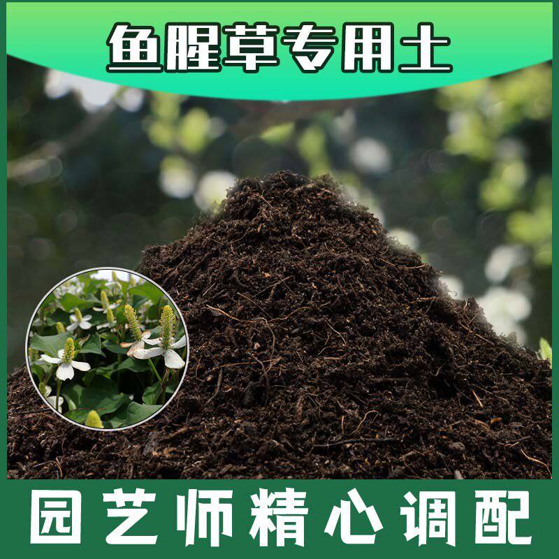 鱼腥草专用土腐殖土种花养花盆栽土鱼腥草营养土肥料种植有机土壤