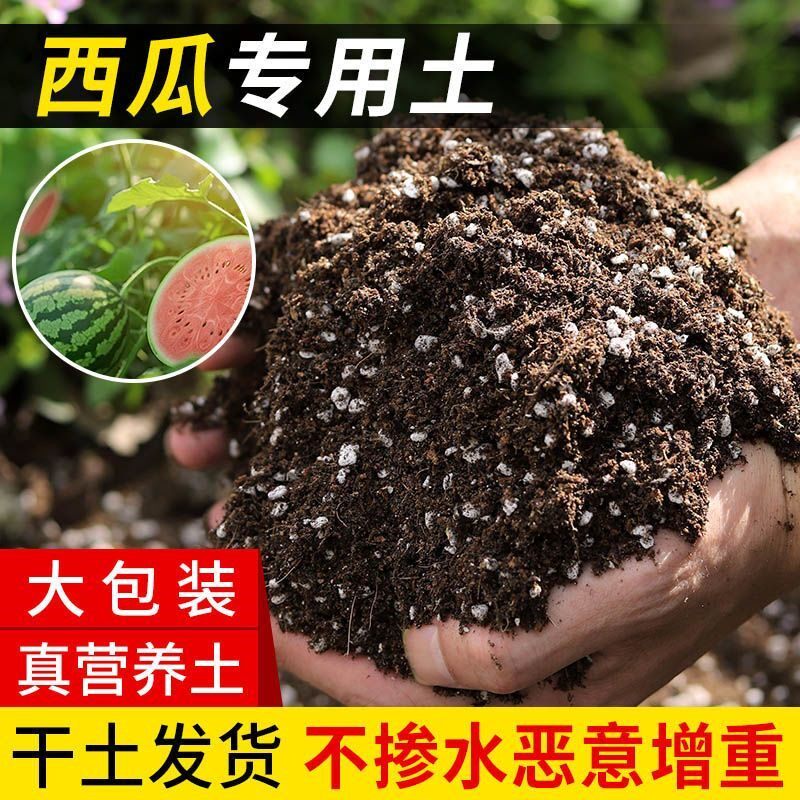 西瓜种植土营养土育苗土盆栽土西瓜苗土壤有机肥料通用型瓜果土壤