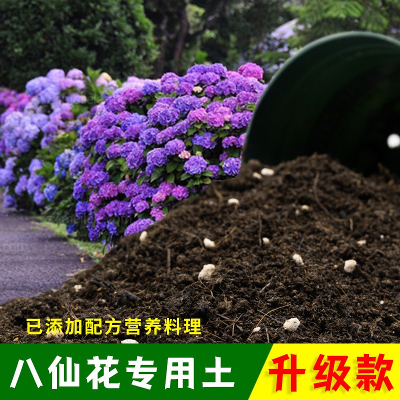 八仙花专用土八仙花营养土有机土肥料家用种植土盆栽种花养花泥土