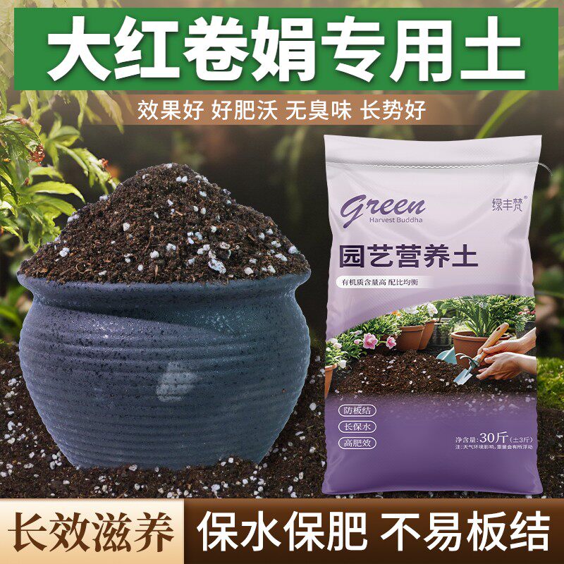 大红卷娟适用腐叶土高温灭菌保水保肥园艺泥炭基质优质壮根多肉