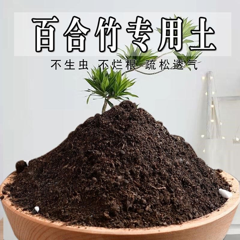 百合竹专用土百合竹专用营养土盆栽土养花种花土通用种植土壤肥料图片