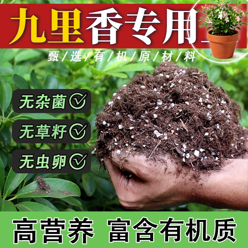 九里香适用腐殖土绿叶保水保肥屋顶植料防烂根促开花轻质土菜园