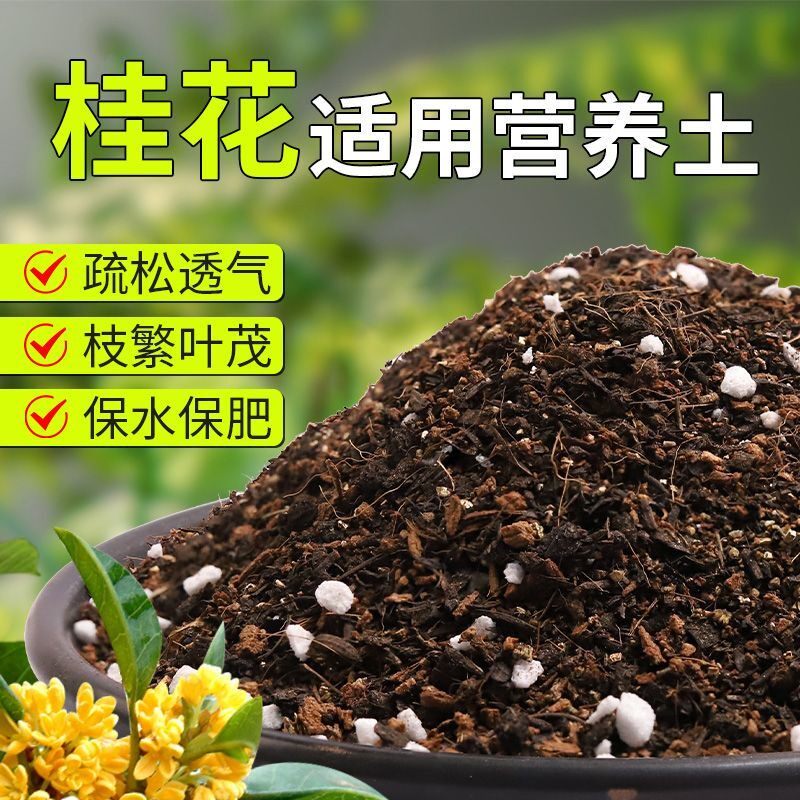 【桂花专用土】疏松透气盆栽绿植专用园艺室内植物有机营养土肥料
