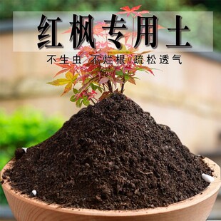 红枫专用土种花泥土枫树专用土肥料营养土养花专用花土种植土肥料
