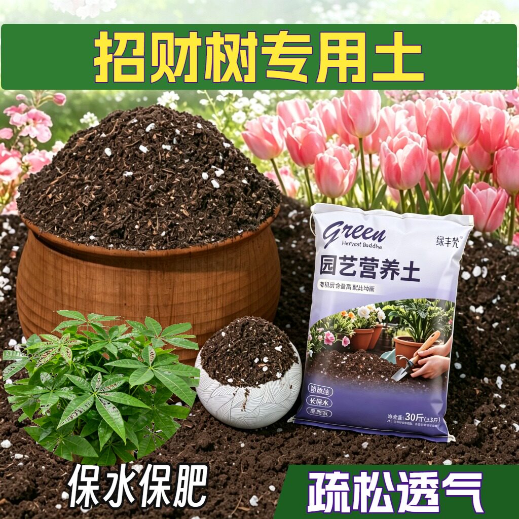 招财树适用腐叶土加珍珠岩盆栽加牛粪精选促生长多肉防黄叶阳台