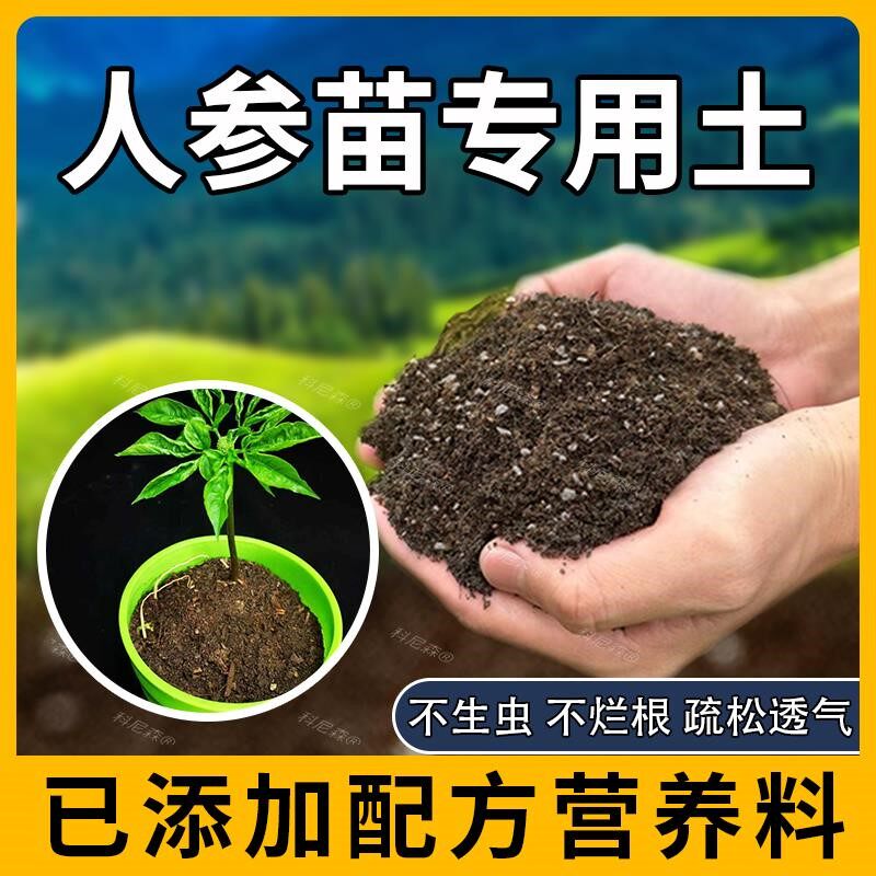人参苗专用土肥料植物黑土育苗花土盆栽土壤家庭人参苗营养土种植