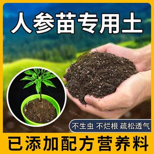 人参苗专用土肥料植物黑土育苗花土盆栽土壤家庭人参苗营养土种植