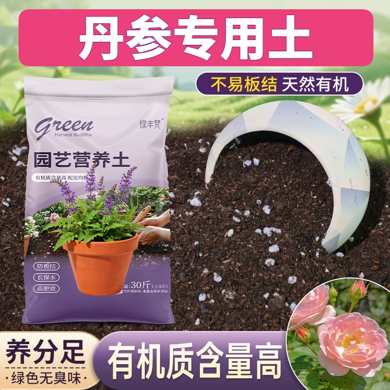 丹参适用有机土不板结不闷根室内包邮有机增色喜酸不烂根根壮苗好