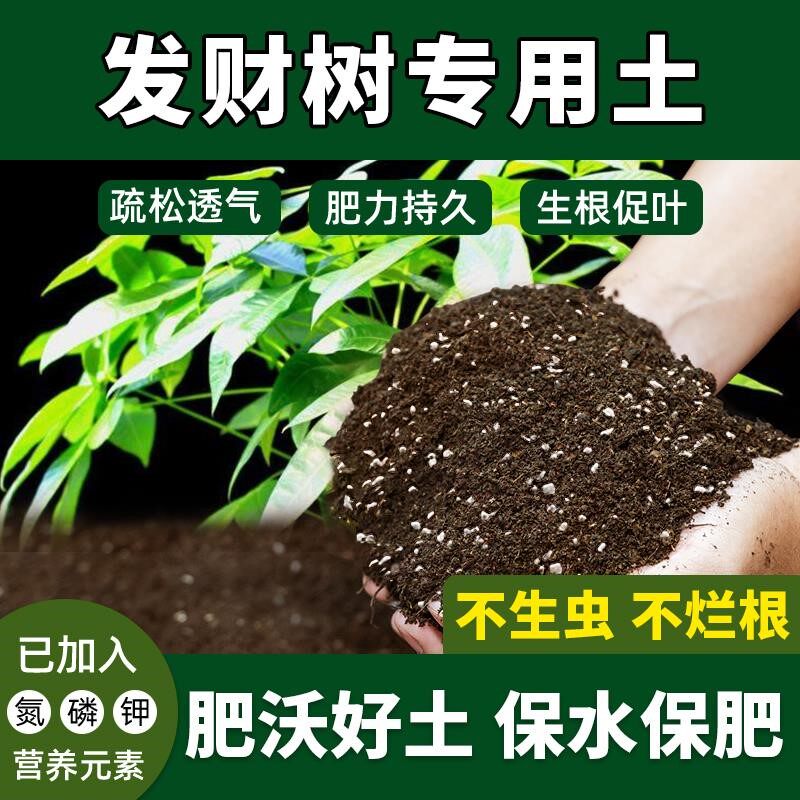发财树专用土种植土吸收快促生根发酵土防生虫发财树营养土土壤