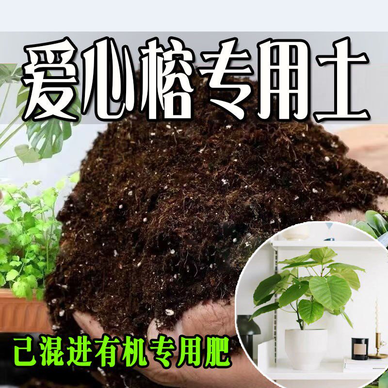爱心榕专用土 爱心榕专用营养土 盆栽养花种花土通用种植土壤肥料