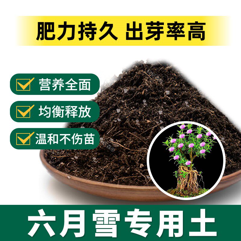六月雪专用土肥料泥土盆栽土黑土透气椰砖有机土六月雪蓬松营养土