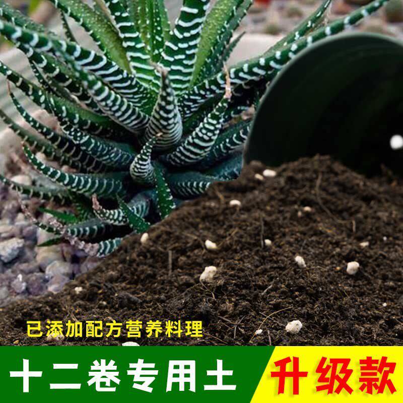 十二卷专用土有机土肥料家用种植土十二卷营养土盆栽养花通用包邮