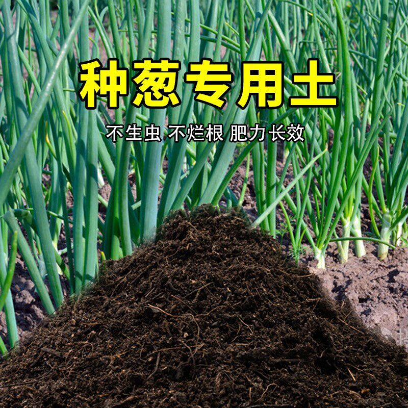 种葱专用土葱姜蒜营养土蓬松黑土园艺种植土瓜果阳台包邮疏松有机