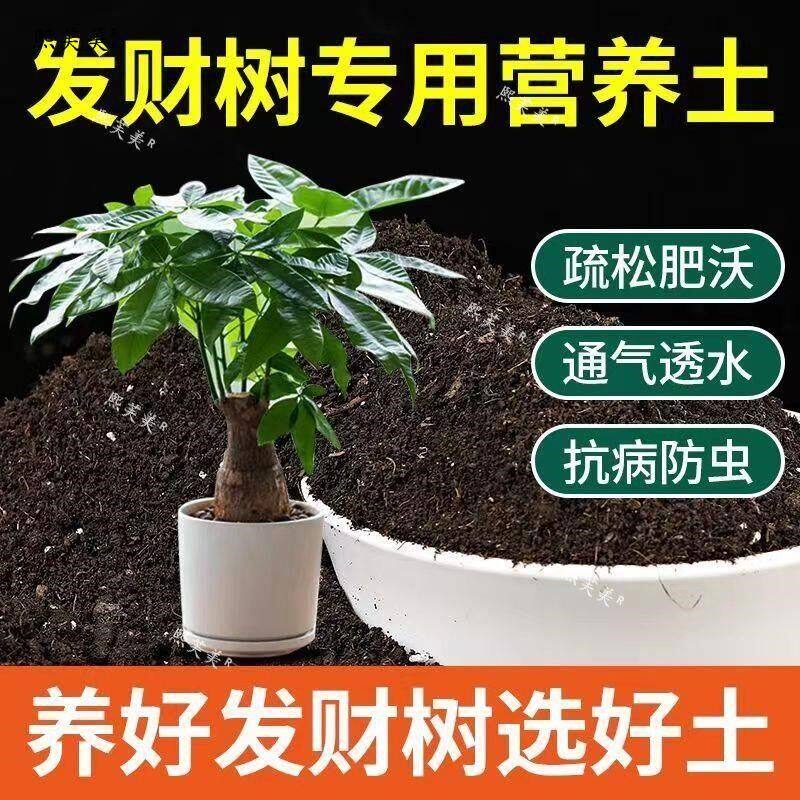 发财树专用土发财树营养土壤家用通用养花盆栽种植土花卉泥土肥料