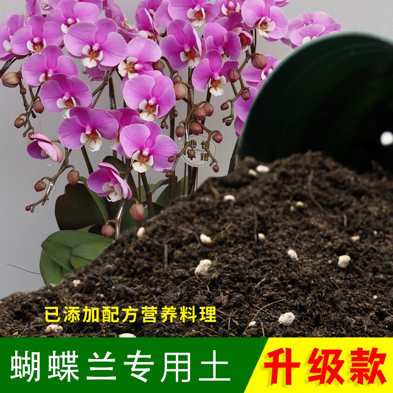 蝴蝶兰专用土山蝴蝶兰土养花营养土通用种植土盆栽种花泥土壤肥料